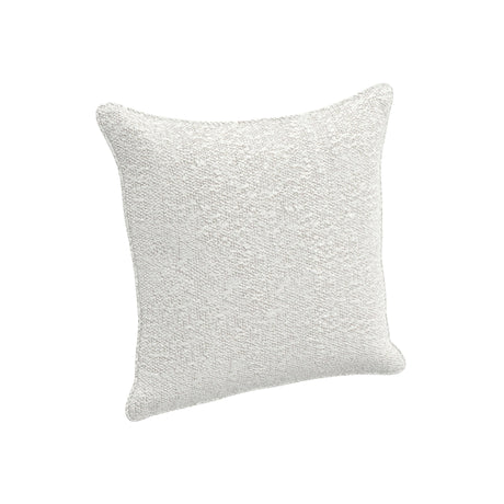 Throw Pillow (20" x 20")