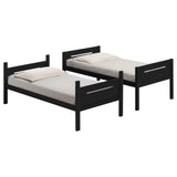 Littleton Bunk Bed