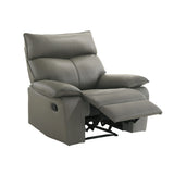 Wildcat Motion Recliner in Aviarah Grey