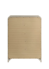 Aria Chest