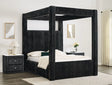 Carla Queen Bed Black image