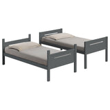 Littleton Bunk Bed