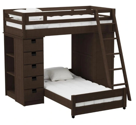 Elements International Cali Kids Twin Over Twin Super Loft Bed and Ladder with Desk and Storage in Brown image