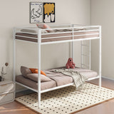 Alevera Bunk Bed