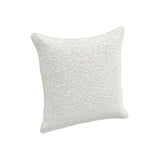 Throw Pillow (19" x 19")