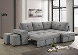 Roanne Pull-Out Sleeper Sectional Sofa