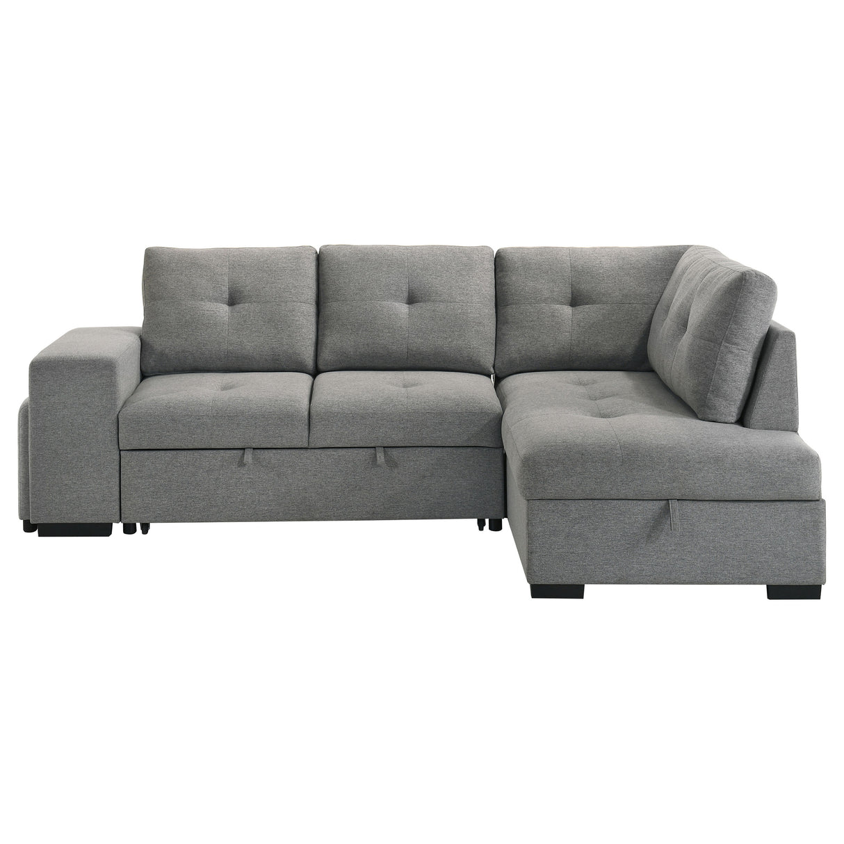 Roanne Pull-Out Sleeper Sectional Sofa