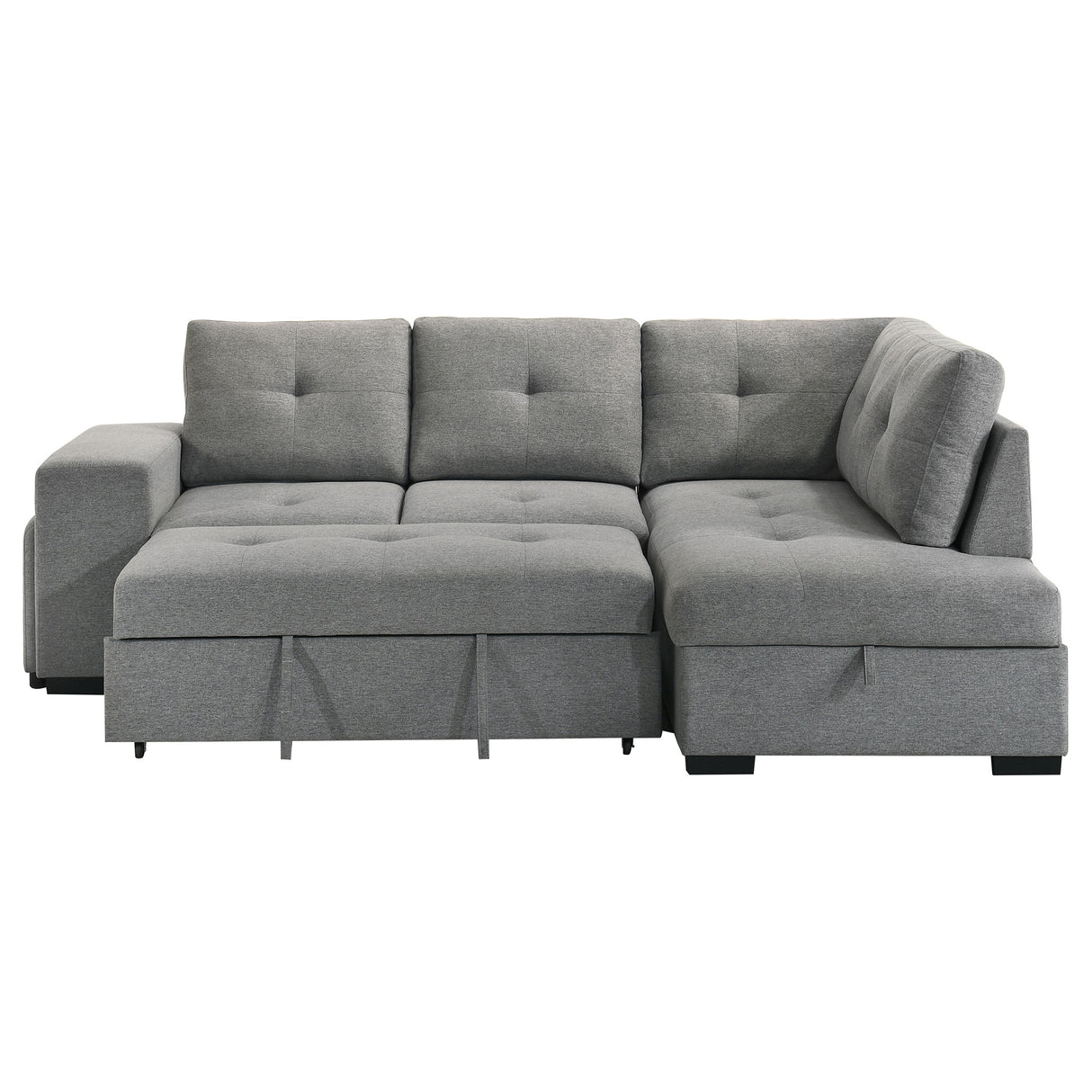 Roanne Pull-Out Sleeper Sectional Sofa