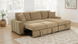 Pastrana Pull-Out Sleeper Sectional Sofa
