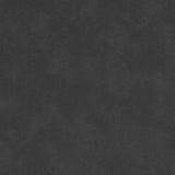 Chasemore Sofa Sleeper