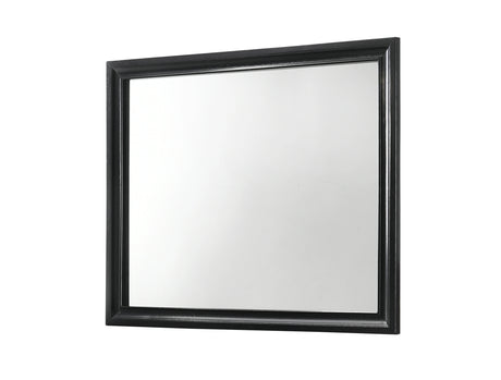 Crown Mark Regata Mirror in Black image