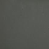 Armstrong Power Lift Massage Recliner