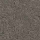 WhipLash Living Room Set