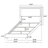 Marceline Panel Bed with LED Lighting