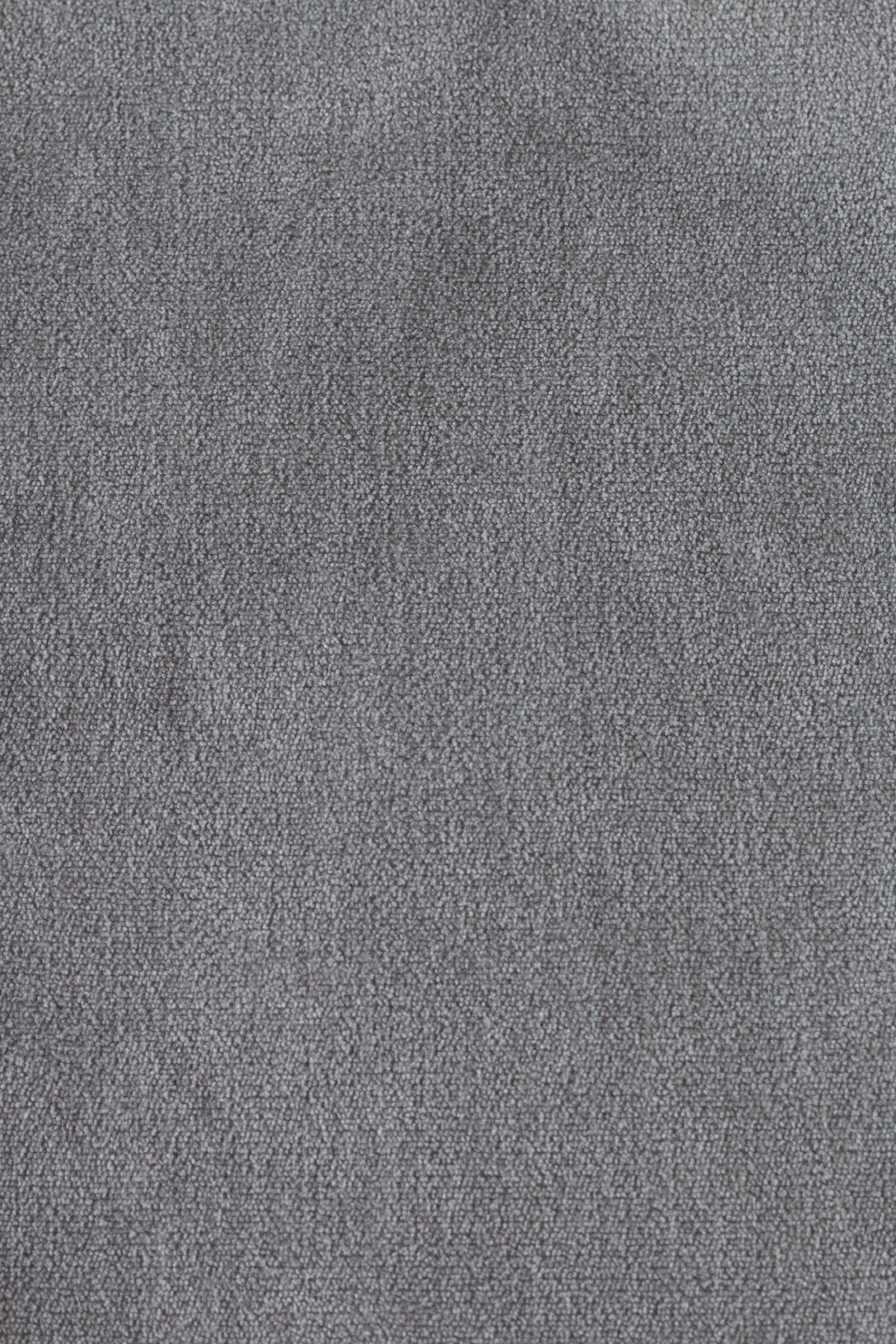 Misha Light Grey Polyester Fabric Queen Bed (3 Boxes)