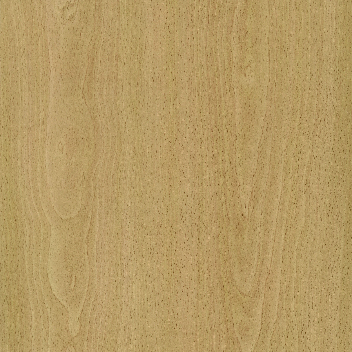 Edwards Four-Panel Room Divider