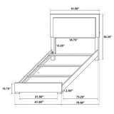 Marceline Panel Bed with LED Lighting