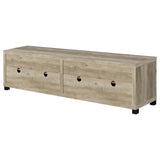 Sachin Entertainment Centers 2