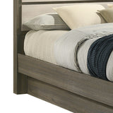 GEM Bed