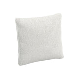 Throw Pillow (24" x 24")
