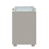 Reflections Nightstand W/Mirrored Top-Silver