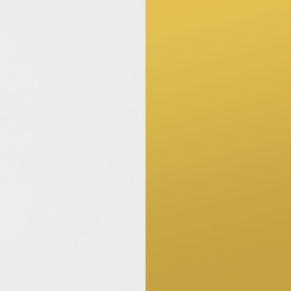 Elsa 2-door Accent Cabinet with Adjustable Shelves White and Gold