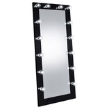 Zayan Floor Mirror with LED Lighting