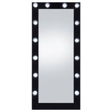 Zayan Floor Mirror with LED Lighting