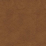 Carianna Sofa Sleeper