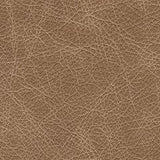 Bradney Swivel Accent Chair