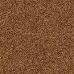 Carianna Sofa Sleeper - galleria furniture outlet