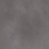 Next-Gen Durapella Power Lift Recliner