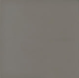 Deepika 4-panel Folding Screen Grey Driftwood