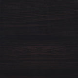 Lewes 2-door TV Stand with Adjustable Shelves Cappuccino