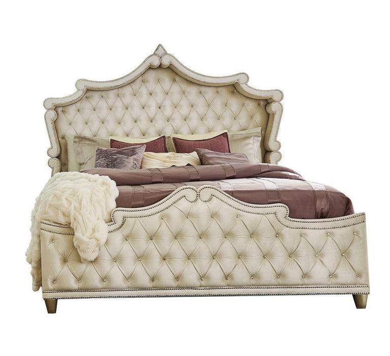 Antonella Upholstered Tufted California King Bed Ivory and Camel