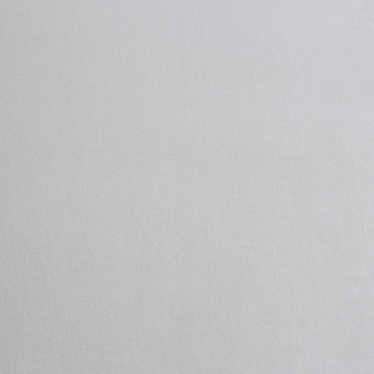 Harlie Cream Velvet Twin Bed