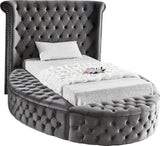 Luxus Grey Velvet Twin Bed (3 Boxes)