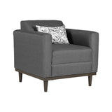 AIDEN CHAIR W/1 THROW PILLOW-SILVER GRAY