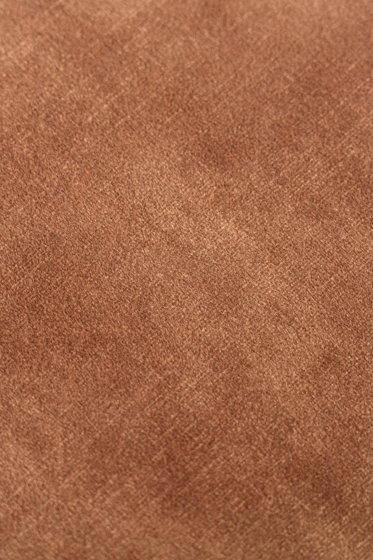 Modrest Saehee Modern Dining Chair