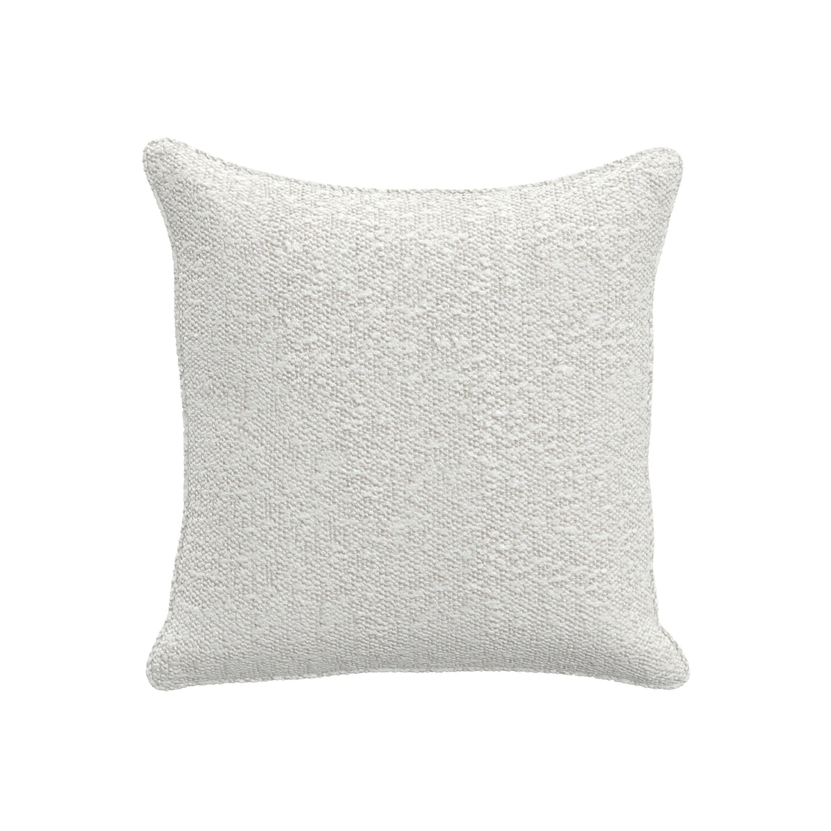 Throw Pillow (20" x 20")