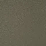 Wildcat Living Room Set in Aviarah Grey