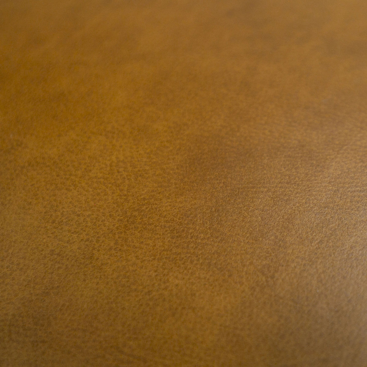 Divani Casa Jacoba Modern Ottoman