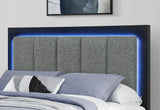 Emma Bed with LED and USB