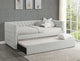 Daybed