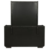 Leandro Dresser with Mirror