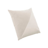 Outdoor Throw Pillow (21" x 21")