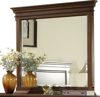 Elements International Canton Cherry Mirror in Dark Wood image