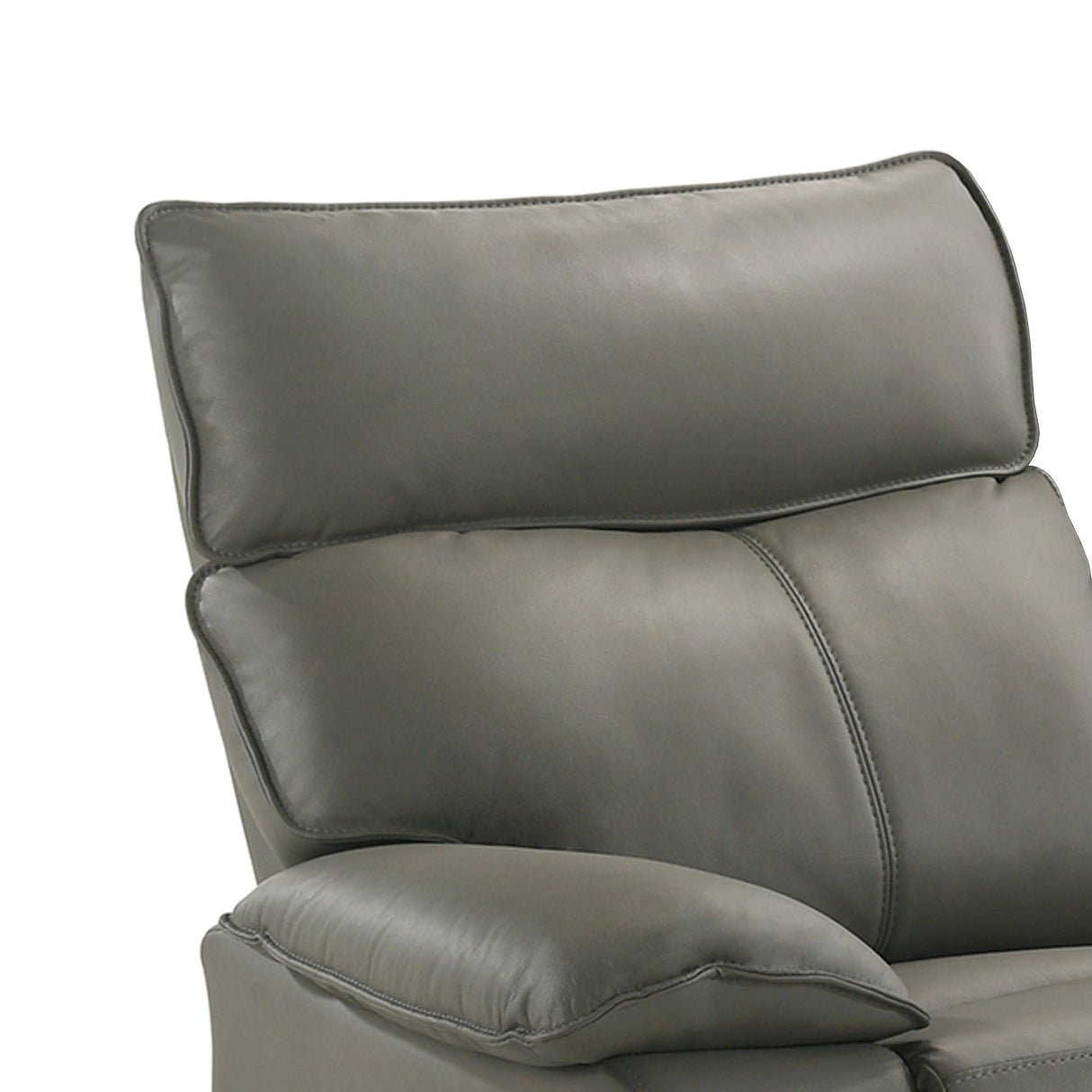 Wildcat Motion Recliner in Aviarah Grey