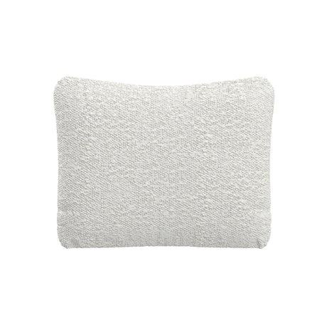 Throw Pillow (20" x 16")