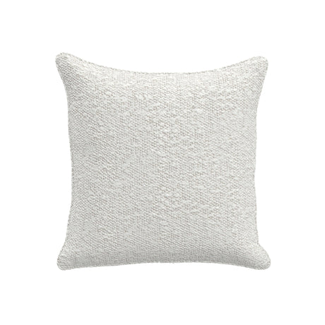 Throw Pillow (19" x 19")